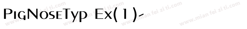 PigNoseTyp Ex(1)字体转换